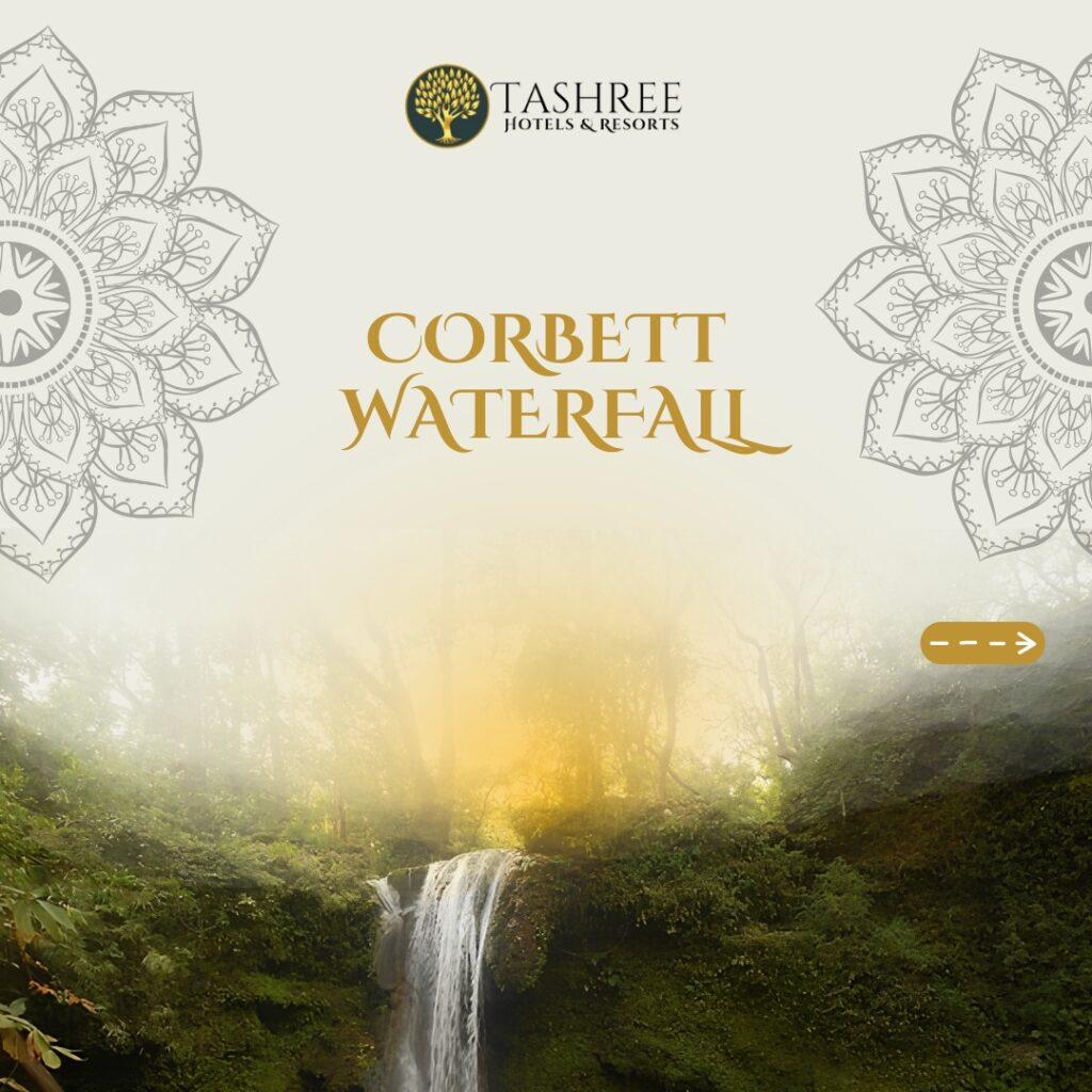 Corbett Rainfall Near Kabeela Tashree Resort